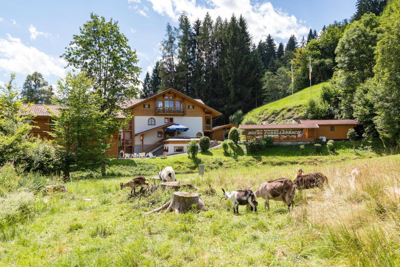 Hotel - Restaurant Forellenbach Fischen im Allgaeu Eksteriør billede